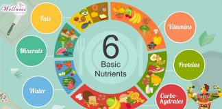 6 Basic Nutrients that Your Body Needs