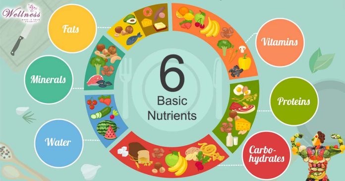 6 Basic Nutrients that Your Body Needs