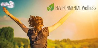 Elevate Your Environmental Wellness with 7 Tips and Tricks