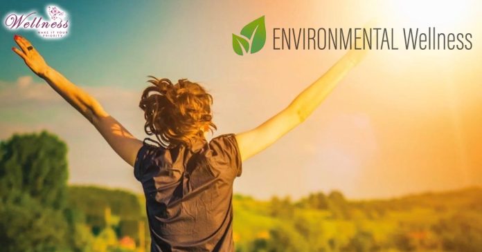 Elevate Your Environmental Wellness with 7 Tips and Tricks
